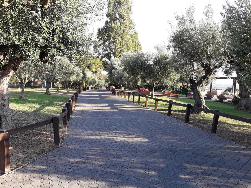 Agriturismo La Vite E Gli Ulivi Villa Ariccia Luaran gambar