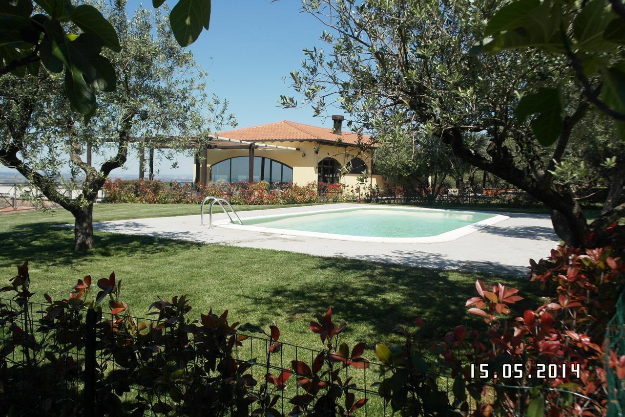 Agriturismo La Vite E Gli Ulivi Villa Ariccia Luaran gambar
