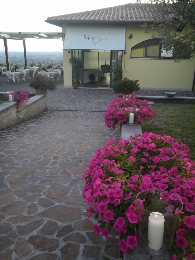Agriturismo La Vite E Gli Ulivi Villa Ariccia Luaran gambar