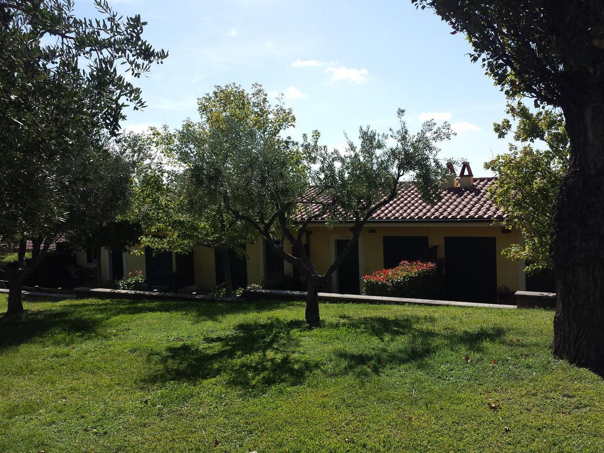 Agriturismo La Vite E Gli Ulivi Villa Ariccia Luaran gambar