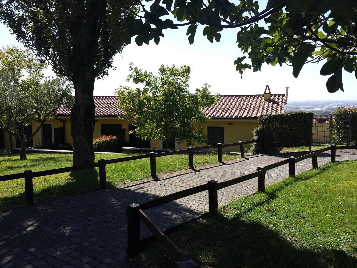 Agriturismo La Vite E Gli Ulivi Villa Ariccia Luaran gambar